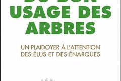 L'arbre, notre puissant allié !