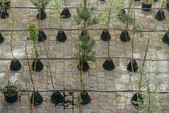 Forêt et cueillettes
