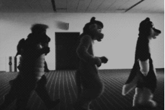 The Cat, the Reverend and the Slave