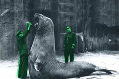 Trois zoos humains