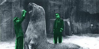 Trois zoos humains