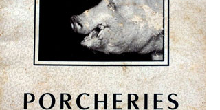 Porcheries Modernes