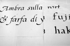 Typographie et Langage